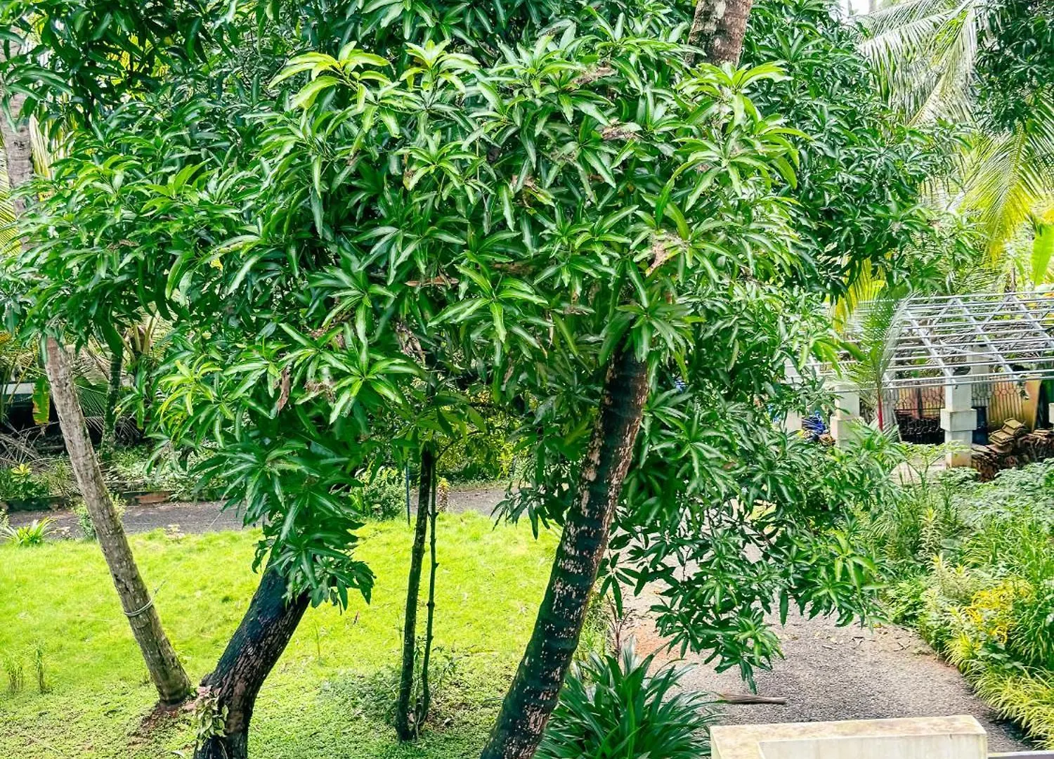 Bed & Breakfast Kadalundi Heritage Vallikkunnu