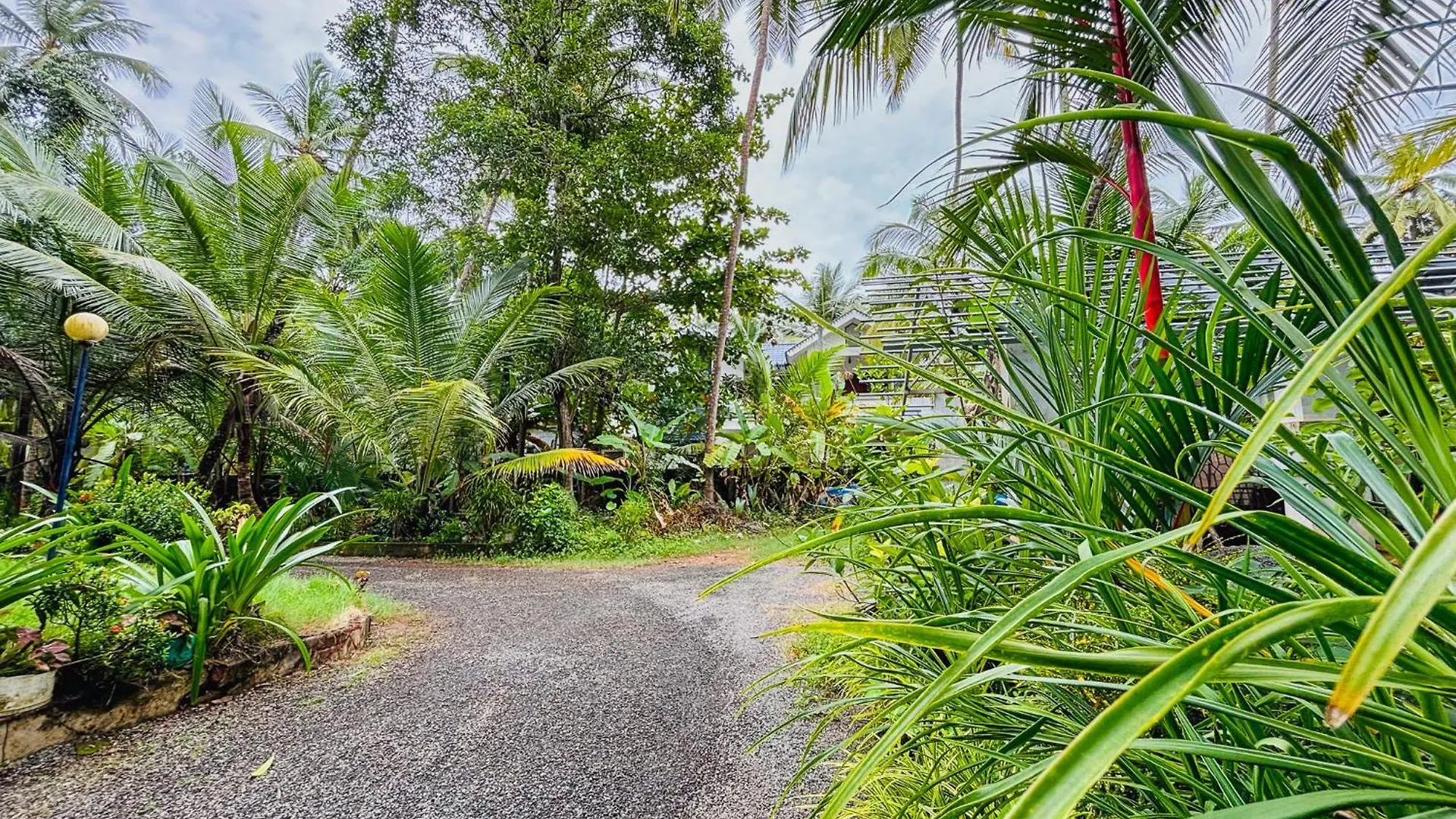 Bed & Breakfast Kadalundi Heritage Vallikkunnu